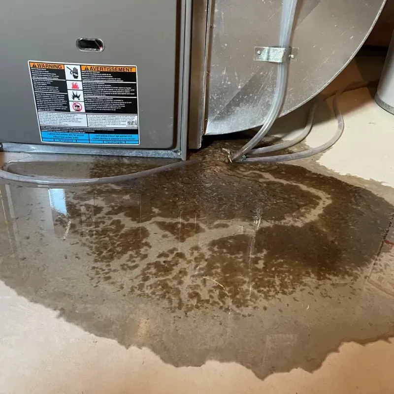 Appliance Leak Cleanup in Sawmills, NC